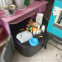 خانه ولوازم سگ درحد نو کامل|لوازم جانبی حیوانات|اصفهان, گلزار|دیوار