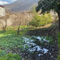 زمین مسکونی 500 متر|فروش زمین و ملک کلنگی|علیآباد کتول, |دیوار