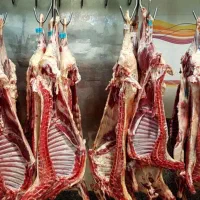 به یک فروشنده قصاب و مرغ کار نیازمندیم فوری