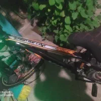 دوچرخه سالم ۲۶ ویوا