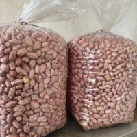 بادام زمینی آستانه از تولید به مصرف ، خرده و عمده