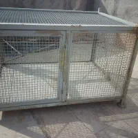 قفس مرغ وخروس