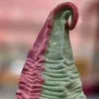نیروی ماهر یا نیمه ماهر در شیرینی فروشی و بستنی