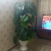 گل مصنوعی خوراک هتل یا بنگاه