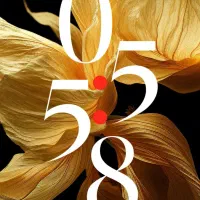 پوکو ایکس5فایو جی