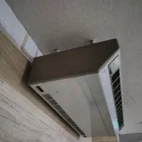 فن کوعل