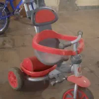 سه چرخه فلامینگو