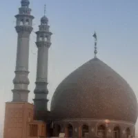 جاسوییچی گم شده|اشیا|قم, چهل درخت‎|دیوار