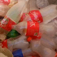 بطری پلاستیکی  1/5