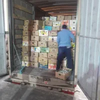 بازرگانی آذری اصل