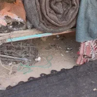 سیاه چادر عشایری|کوهنوردی و کمپینگ|ایلام, |دیوار