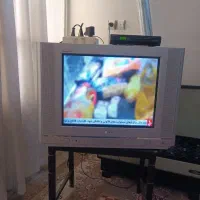 تلویزیون ۲۱ ال جی