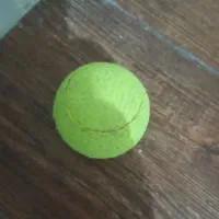 راکت تنیس|ورزشهای توپی|مشهد, هفت تیر (حافظ)|دیوار