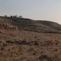 سرمایه-گذاری-زمین