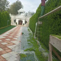 خدمات باغبانی وعلف تراشی زمین|خدمات باغبانی و درختکاری|رشت, گیل|دیوار