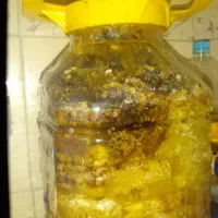 عسل طبیعی سنگ