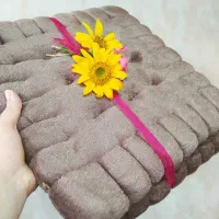 نشیمن ماشین