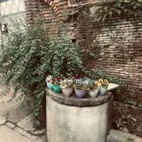 اجاره سوئیت در مرکز شهر ،واقع دریافت تاریخی املش