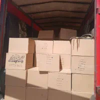 دوربین مداربسته جک بازویی کرکره (اقساط و پتروکارت)|مصالح و تجهیزات ساختمان|بندر ماهشهر, |دیوار