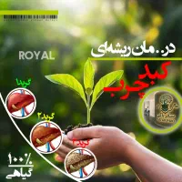 پاکسازی دوباره کبد ریشه‌ای کاملا گیا..هی