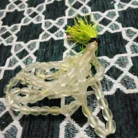 تسبیح شاه مقصود(آب حیات)