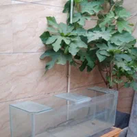 آکوارییوم بزرگ|ماهی|خاوران, |دیوار