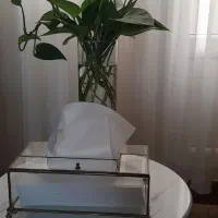 سینی پذایرایی|ظروف سرو و پذیرایی|فردیس, دهکده|دیوار