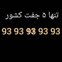 93 93 93 93 93