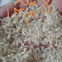 برنج فجرخوش پخت خوش طعم