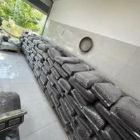 کشمش آفتابی پاک‌شده چرخ رایگان