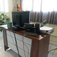 منشی تلفنی خانم