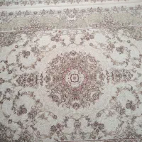 فرش ۶ متری|فرش|سنندج, |دیوار