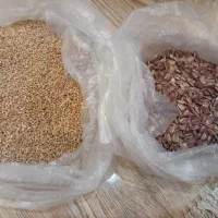 یک جفت مرغ عشق بالغ همراه با قفس و تمام وسایل|پرنده|ساوه, |دیوار