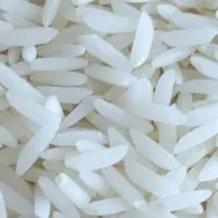 پخش فندق و برنج هاشمی به صورت کلی و جزی