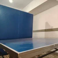 میز تنیس پارا دایس