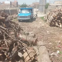 خریدار انواع چوب|خدمات باغبانی و درختکاری|پارس‌آباد, |دیوار