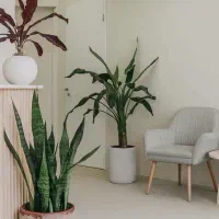 مدیر داخلی و منشی با تجربه نیازمندیم