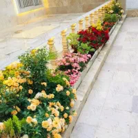 خرید فروش زمین باغ باغچه حومه آرامگاه فردوسی