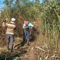 تمیز کردن زمین با دستگاه علفتراشی