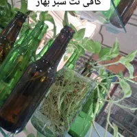 کافی نت بهار