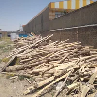 خرید انواع چوب|خدمات باغبانی و درختکاری|اراک, |دیوار