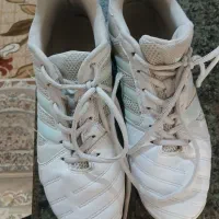 کفس|کیف، کفش، کمربند|یزد, |دیوار