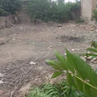 زمین مسکونی مینودشت.. گلستان فروشی