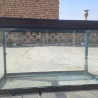 آکواریوم