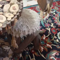 میز ناهارخوری