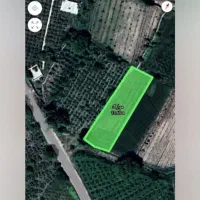 فروش باغ شلیل