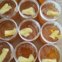 فروش تعداد۴۰کندو زنبور عسل کارنیکا آلمانی درجه یک|حیوانات مزرعه|نورآباد, |دیوار