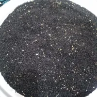 فروش. بذر. پیاز.