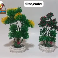 فروش درختچه های مینیاتوری