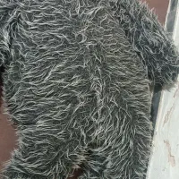 خرس
